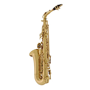 Elkhart 100AS Student Alto Saxophone
