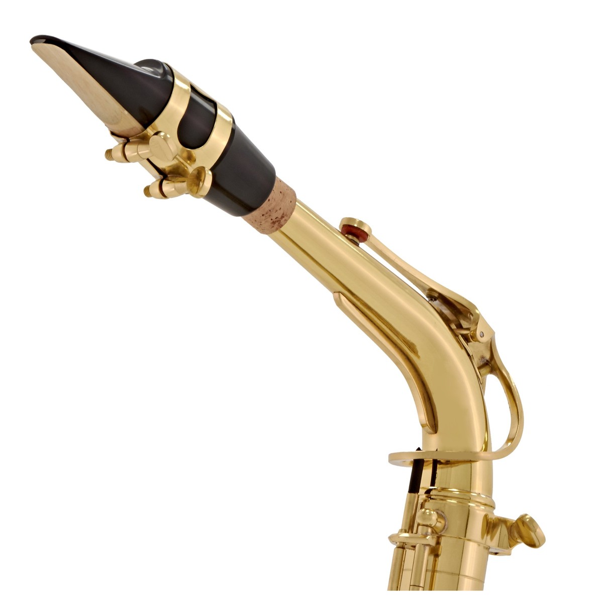 Elkhart 100AS Student Alto Saxophone - Gold Lacquer – valveandreed